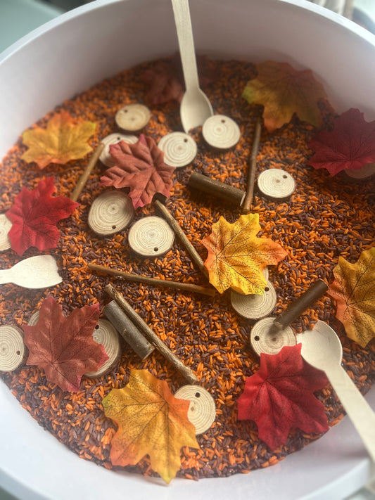 🍂🍁Discover Playdays Autumn Sensory Play Mix 🍁🍂